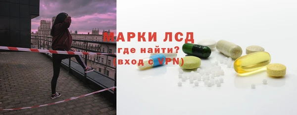 гидра Абаза