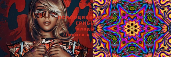 гидра Абаза