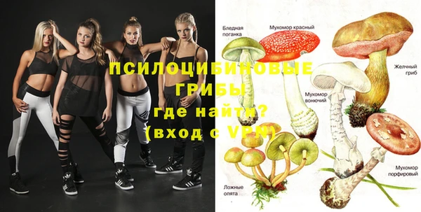 PSILOCYBIN Абинск