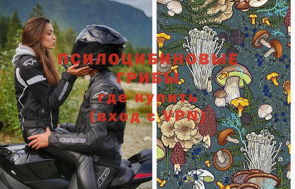 индика Дмитровск