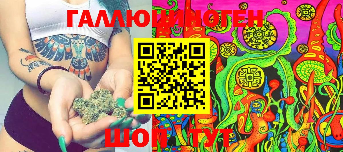 Псилоцибиновые грибы Cubensis Тамбов