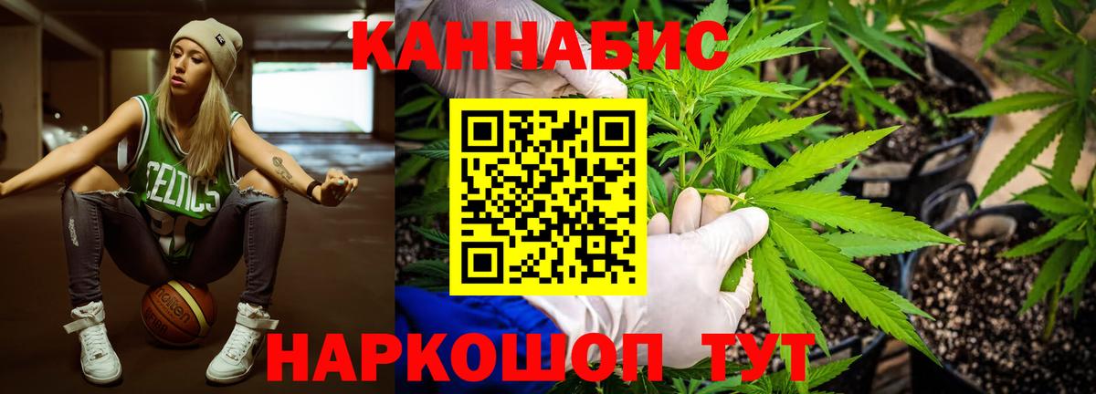 Тамбов  МАРИХУАНА план  Конопля конопля  Вход с VPN  Шишки марихуана VHQ 